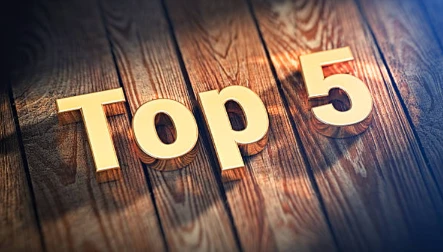 UNIVERSITY FELICITATION